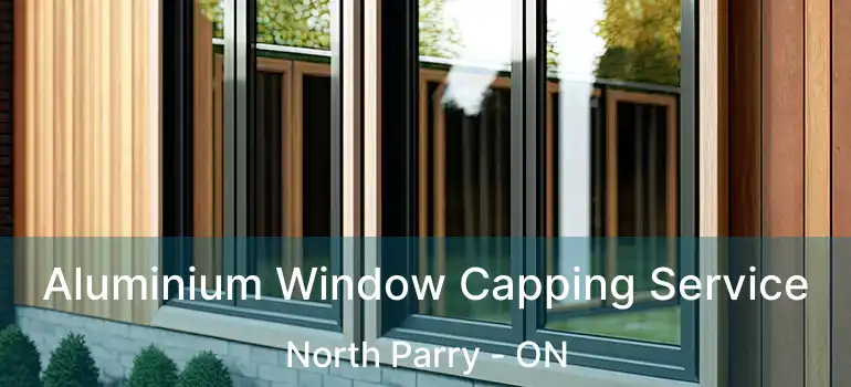  Aluminium Window Capping Service North Parry - ON