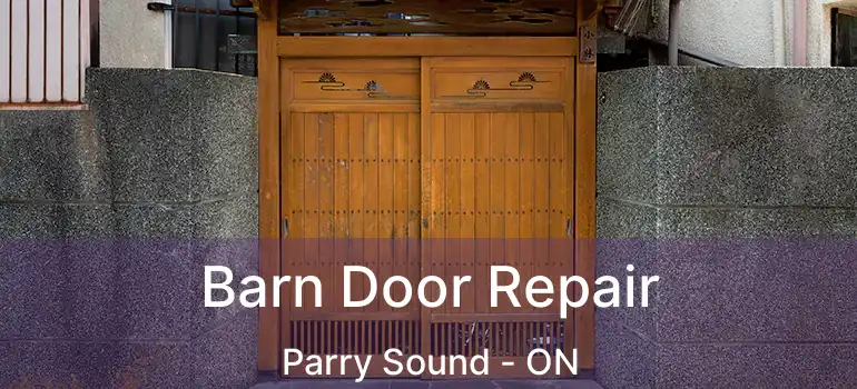 Barn Door Repair Parry Sound - ON
