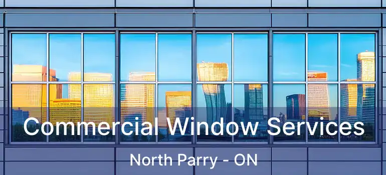  Commercial Window Services North Parry - ON
