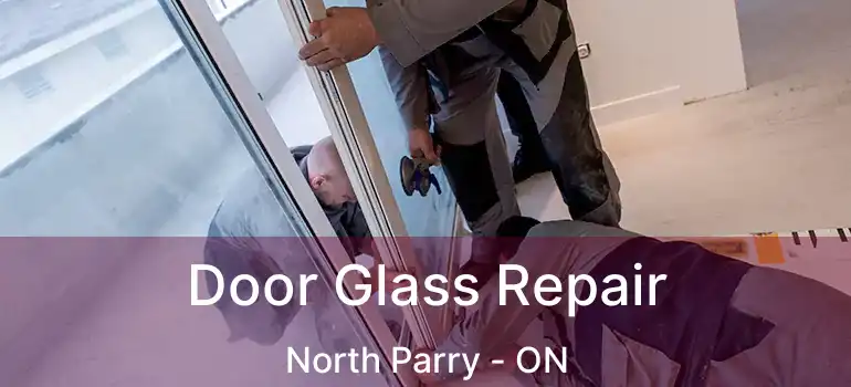  Door Glass Repair North Parry - ON