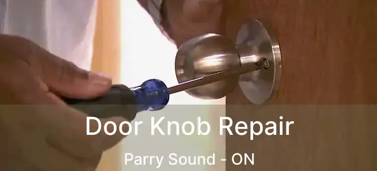 Door Knob Repair Parry Sound - ON