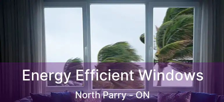  Energy Efficient Windows North Parry - ON