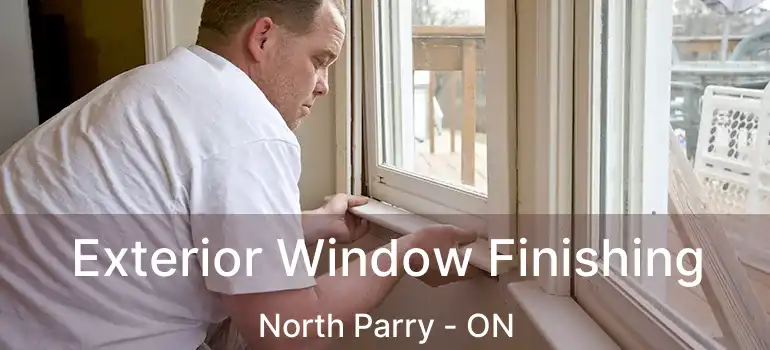  Exterior Window Finishing North Parry - ON