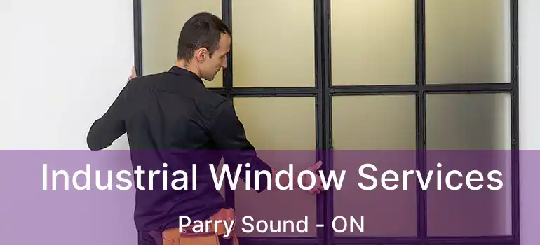 Industrial Window Services Parry Sound - ON