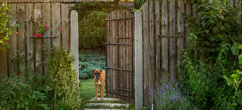 Winter Garden Garage Door Repair in Parry Sound,Ontario