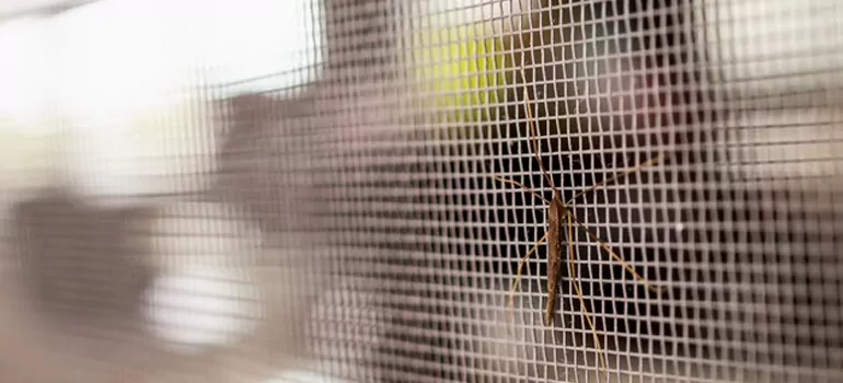 Repair Mosquito Mesh For Windows in Parry Sound, Ontario