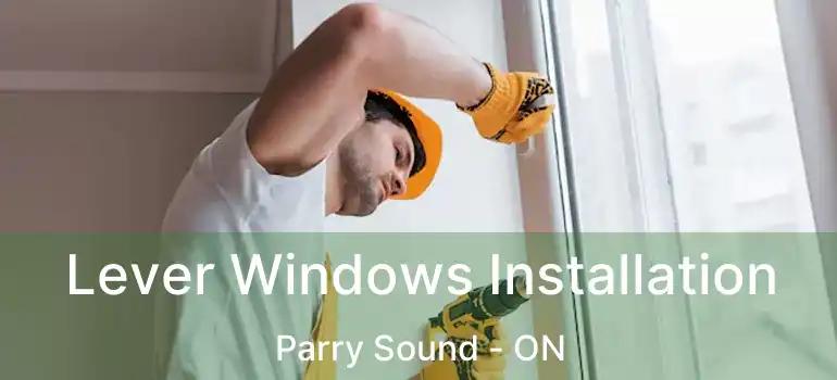 Lever Windows Installation Parry Sound - ON