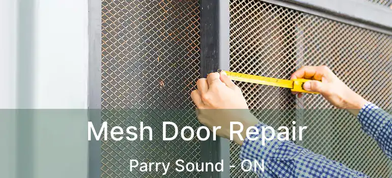 Mesh Door Repair Parry Sound - ON