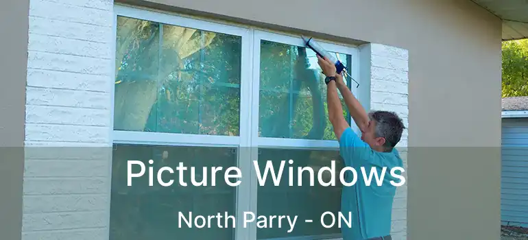 Picture Windows North Parry - ON