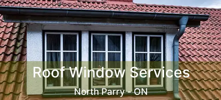 Roof Window Services North Parry - ON