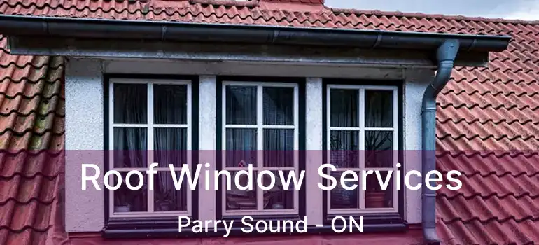  Roof Window Services Parry Sound - ON
