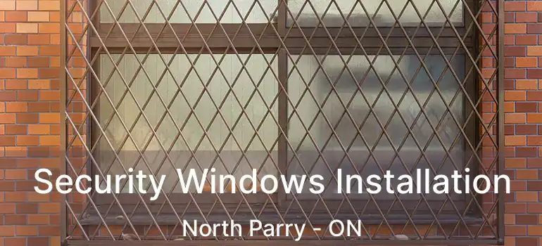  Security Windows Installation North Parry - ON