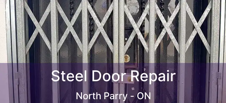  Steel Door Repair North Parry - ON