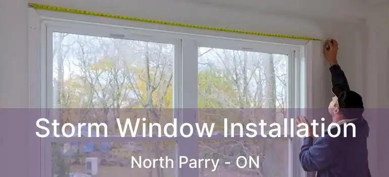 Storm Window Installation North Parry - ON