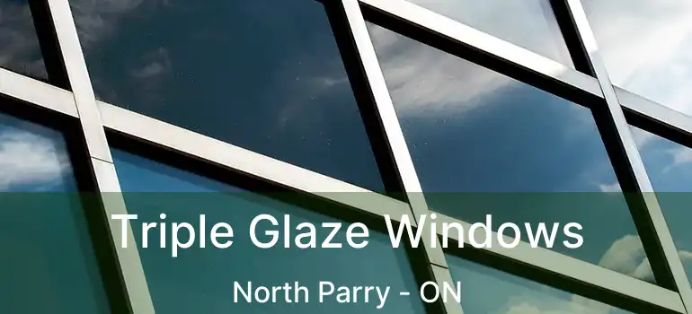 Triple Glaze Windows North Parry - ON