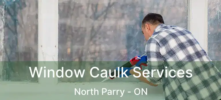 Window Caulk Services North Parry - ON