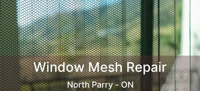  Window Mesh Repair North Parry - ON