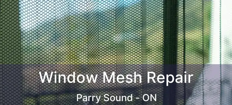 Window Mesh Repair Parry Sound - ON