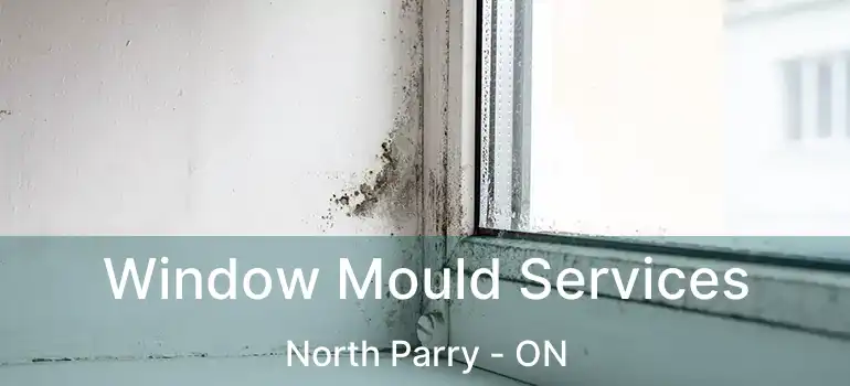Window Mould Services North Parry - ON