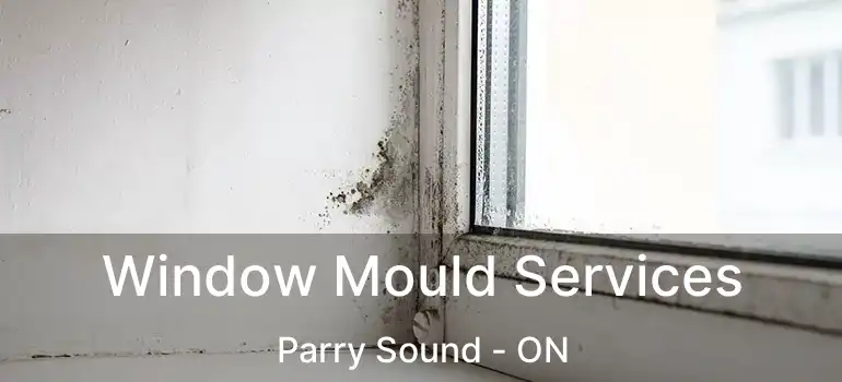  Window Mould Services Parry Sound - ON