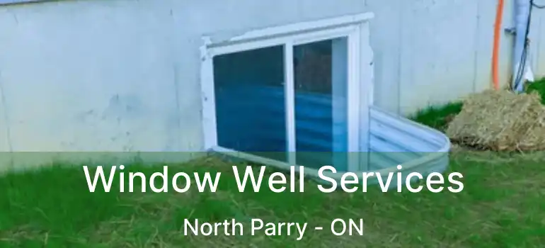 Window Well Services North Parry - ON